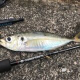 魚釣りのサイトイメージ写真