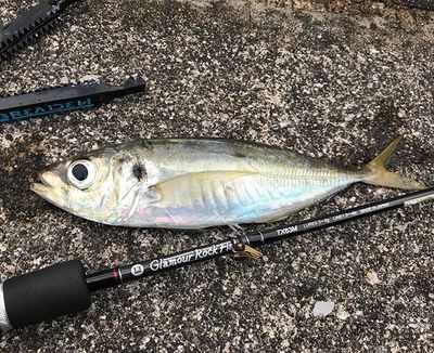 魚釣りのサイトイメージ写真