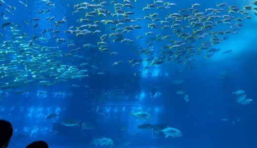 沖縄旅行は楽しかったです