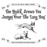 The quick brown fox jumps over the lazy dog